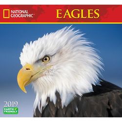 National Geographic Eagles 2019 Calendar