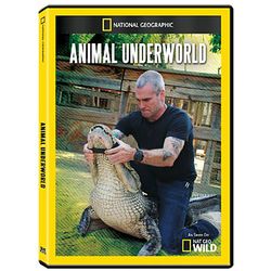 Animal Underworld DVD