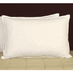 Pillowtex White Goose Feather and Down Queen Pillow