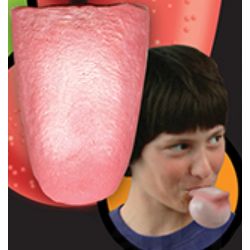 Inflatable Tongue Toy