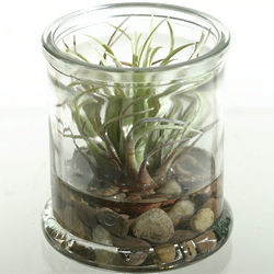 Artificial Easter Grass Plant in a Candle Jar