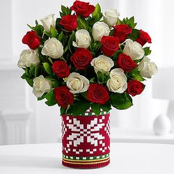 Two Dozen Long Stemmed Candy Cane Roses