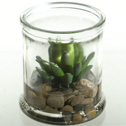 Artificial Small Agave Succulent Plant in Candle Jar