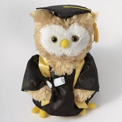 Dr. Hoot Graduation Owl Stuffed Animal