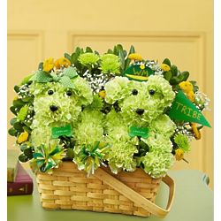 William and Mary Tribe Pride and Spirit aDOGable Bouquet