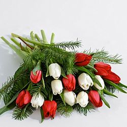 15 Christmas Tulips with Fresh Douglas Fir