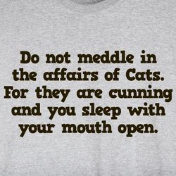 Do Not Meddle in the Affairs of Cats Shirt