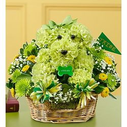 William and Mary Tribe Spirit aDOGable Bouquet