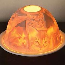 Porcelain Bisque Cats Nightlight