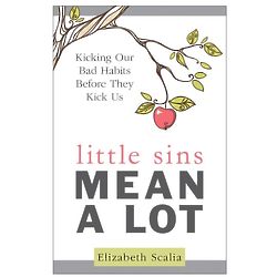 Little Sins Mean a Lot: Kicking Our Bad Habits Book