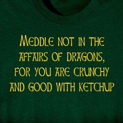 Meddle Not in the Affairs of Dragons T-Shirt