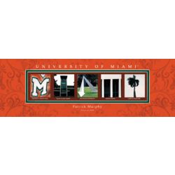 Framed University of Miami Architectural Elements Print