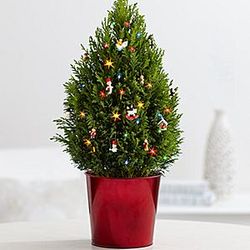 Santa's Workshop Mini Cypress Christmas Tree