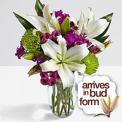 White Lily Anniversary Bouquet