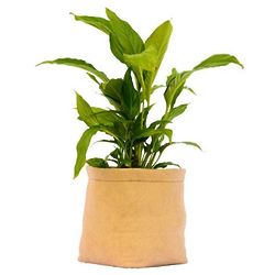 65-Gallon Breathable Fabric Plant Pot