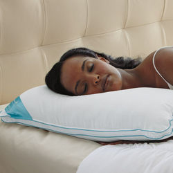 Queen Classic Memory Foam Pillow with Better than Down Cover