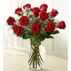 Rose Elegance Premium Long Stem Red Roses