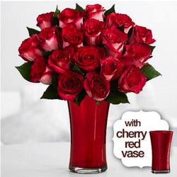18 Red Velvet Roses in Cherry Vase