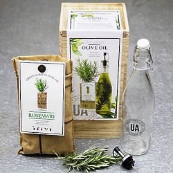 Grow & Infuse Rosemary Olive Oil Kit
