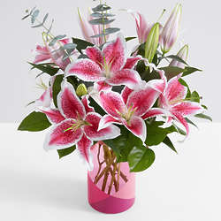Fragrant Stargazer Lilies with Pink Geo Vase
