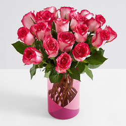 18 Pink Pearl Roses with Pink Geo Vase