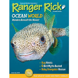 Ranger Rick Magazine