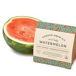 Baby Watermelon Grow Kit