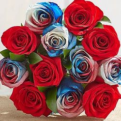 Red, White and Blue Kaleidoscope Roses