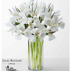 Divine White Iris Bouquet