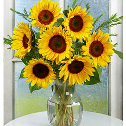 Birthday Sunflower Radiance Bouquet with Vase