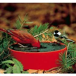 Covered and Insulated Solar Bird Sipper Bowl