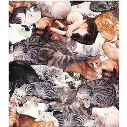 Cat Lovers Fleece Duvet Set