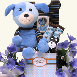 Special Delivery Baby Boy Gift Basket