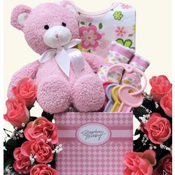 Special Delivery Girl Baby Gift Basket