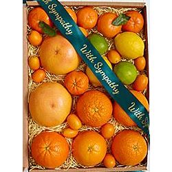 Simply Fresh Winter Citrus Fruit Box with Sympathy Ribbon