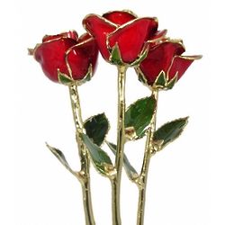 Past, Present, Future Trio of 18" Gold Edged Preserved Red Roses