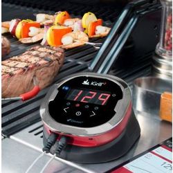 iGrill2 Grilling Thermometer