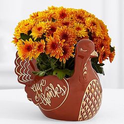 Give Thanks Turkey Mums in Vase