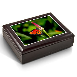Colorful Monarch Butterfly Tile Musical Jewelry Box