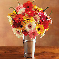 Happy Gerbera Daisies with French Flower Pail