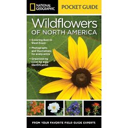 Pocket Guide to Wildflowers of North America