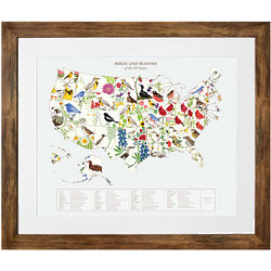 Birds and Blooms Art US States Framed Map