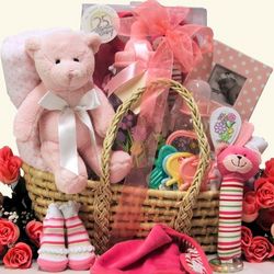 Baby Girl Essentials Gift Basket