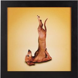 Yoga Dog Shoulder Stand Framed Canvas