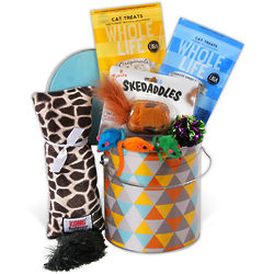 Kitty Cat Treats and Toys Gift Basket