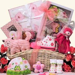 Beautiful Baby Girl Gift Basket