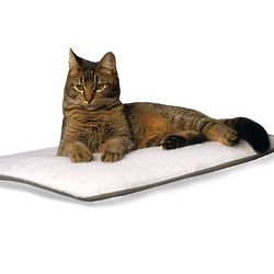 Cozy Cat Bed Set