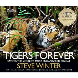 Tigers Forever Book