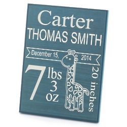 Baby Blue Plaque Wall Art