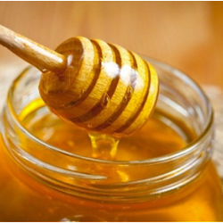 Honey Tasting Beekeeping Workshop in California